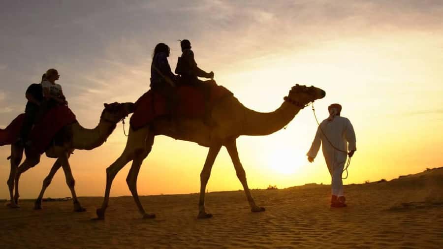 Sharm El Sheikh: Quad Biking, Camel Ride & Bedouin Dinner. - Quad biking beneath the Sinai Mountains