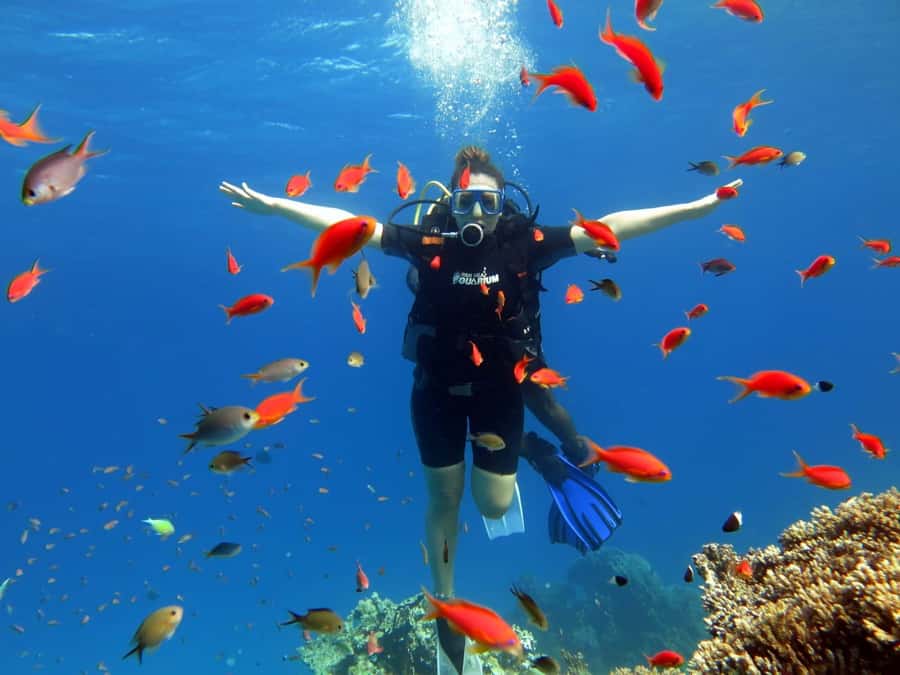 Sharm El Sheikh: Ras Mohamed Cruise with Snorkeling & Lunch - How the staff shape the day