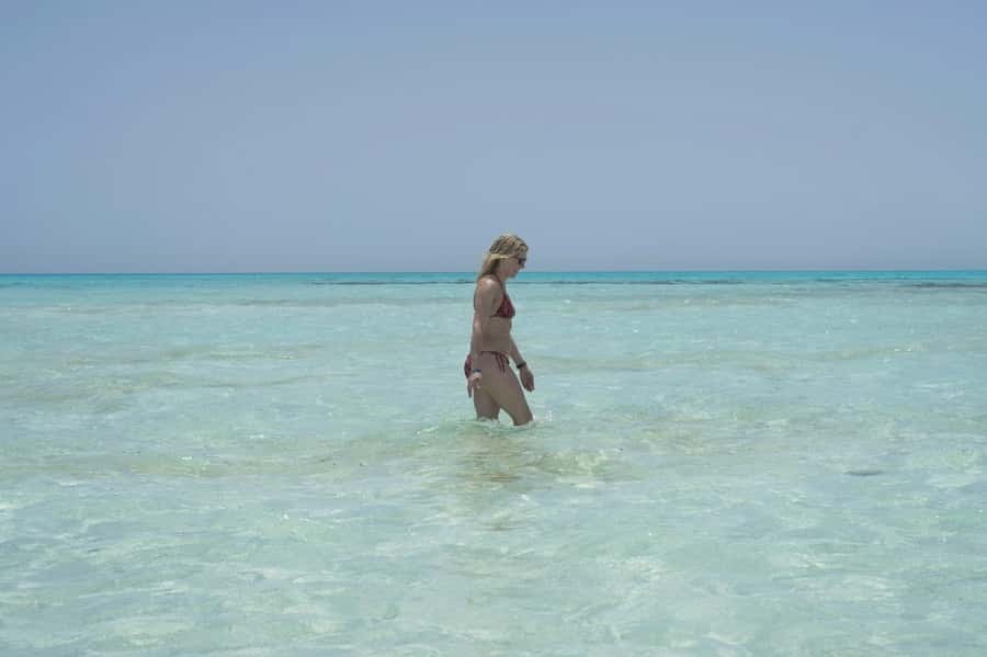 Sharm El Sheikh: Ras Mohamed Cruise with Snorkeling & Lunch - Is $31 good value?