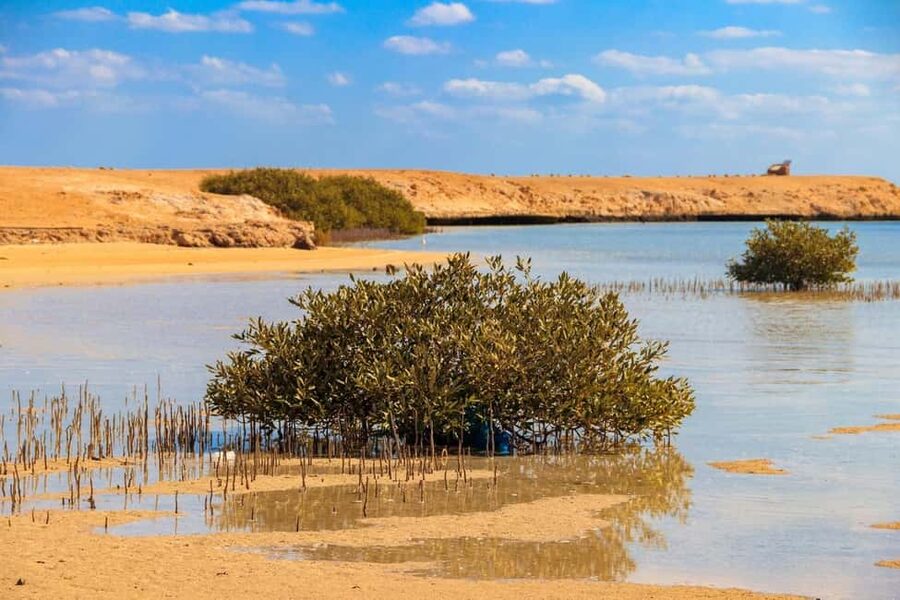Sharm El-Sheikh: Ras Mohamed Half-Day Tour & Allah's Gate - Snorkeling at Egypt’s famous reef