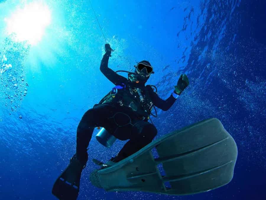 Sharm El Sheikh: Ras Mohamed & White Island Dive & Snorkel - Lunch, drinks, and time between swims