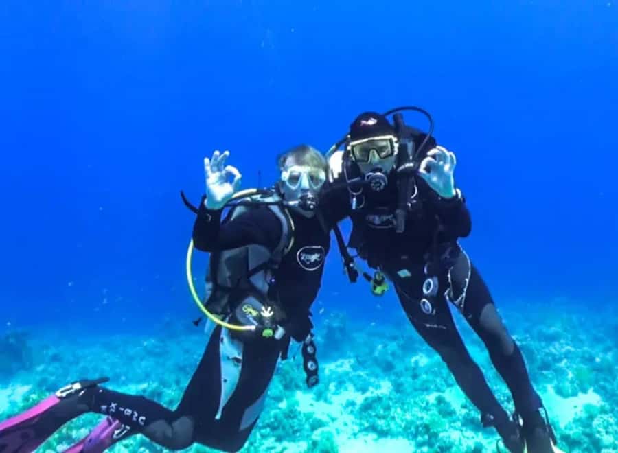 Sharm El Sheikh: Ras Mohamed & White Island Dive & Snorkel - Who will get the most from this outing