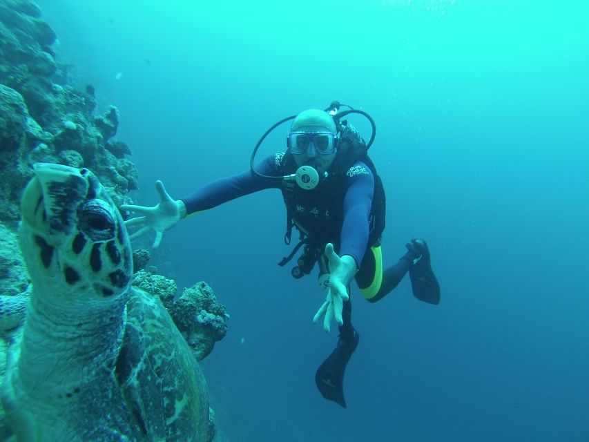 Sharm El Sheikh: Ras Mohamed & White Island Snorkel or Dive - Ras Mohamed’s clear water and coral reefs