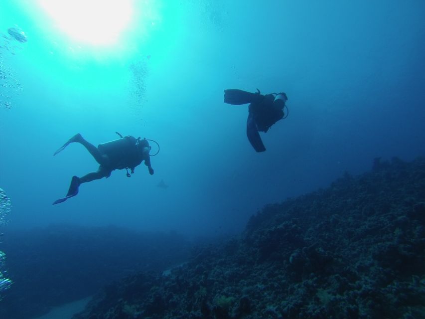 Sharm El Sheikh: Ras Mohamed & White Island Snorkel or Dive - Is the $18 price good value?