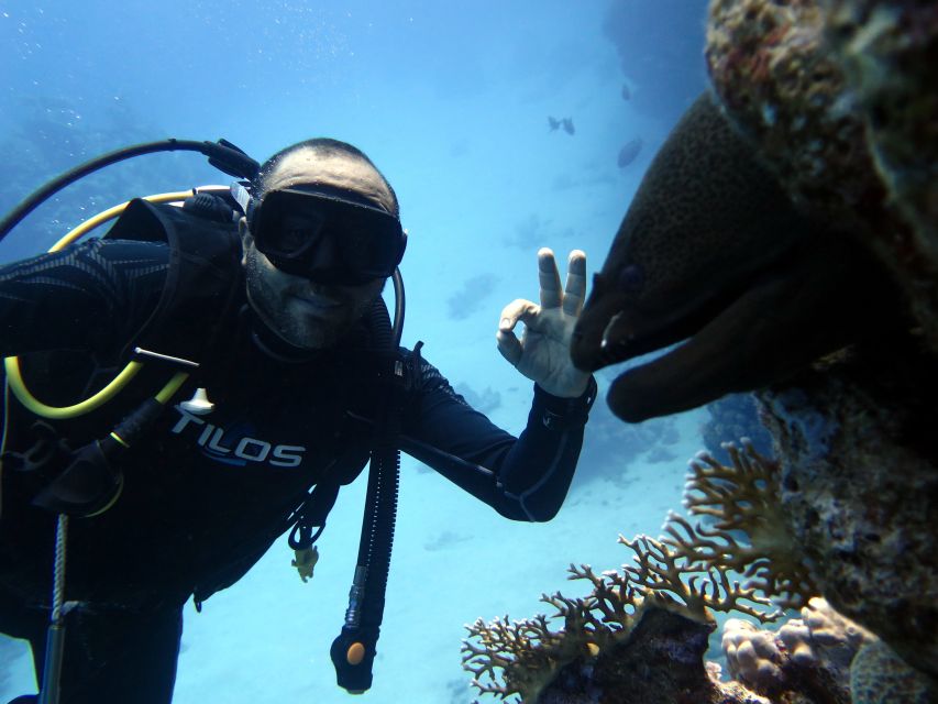 Sharm El Sheikh: Ras Mohamed & White Island Snorkel or Dive - Practical details to handle before departure
