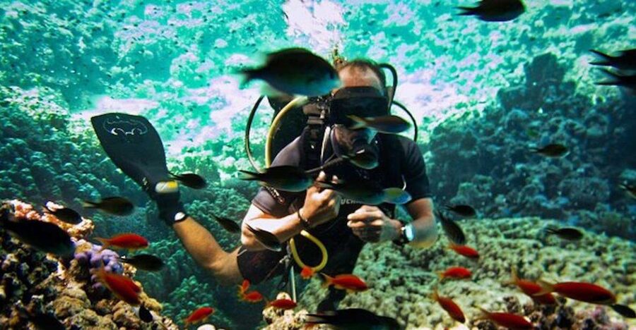 Sharm El Sheikh: Ras Mohamed & White Island Snorkel or Dive - White Island gives the day a change of pace