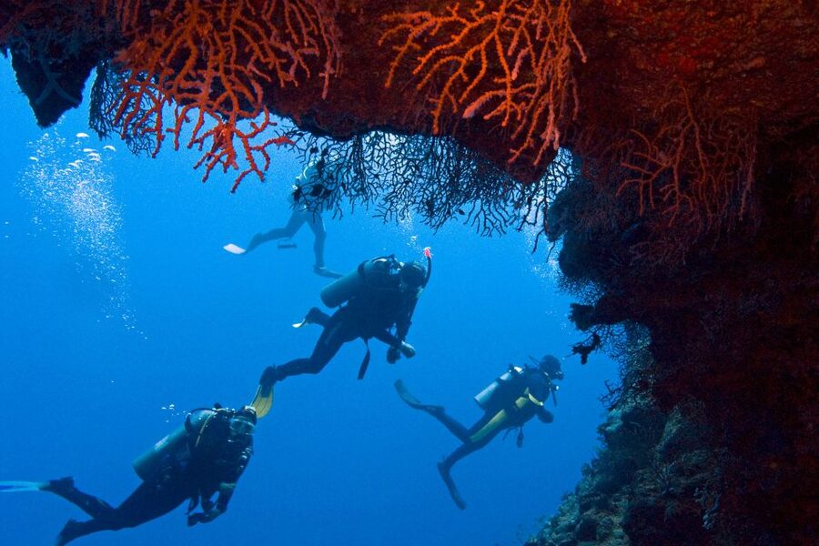 Sharm El-Sheikh: Ras Mohamed & White Island Snorkeling Trip - White Island, a bright sandbar between the gulfs