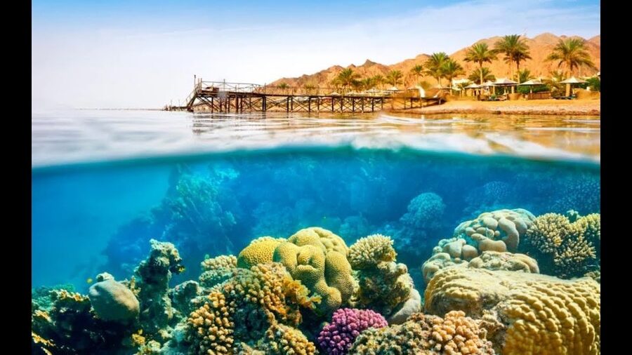 Sharm El-Sheikh: Ras Mohamed & White Island Snorkeling Trip - Lunch, staff, and the rhythm of the return trip