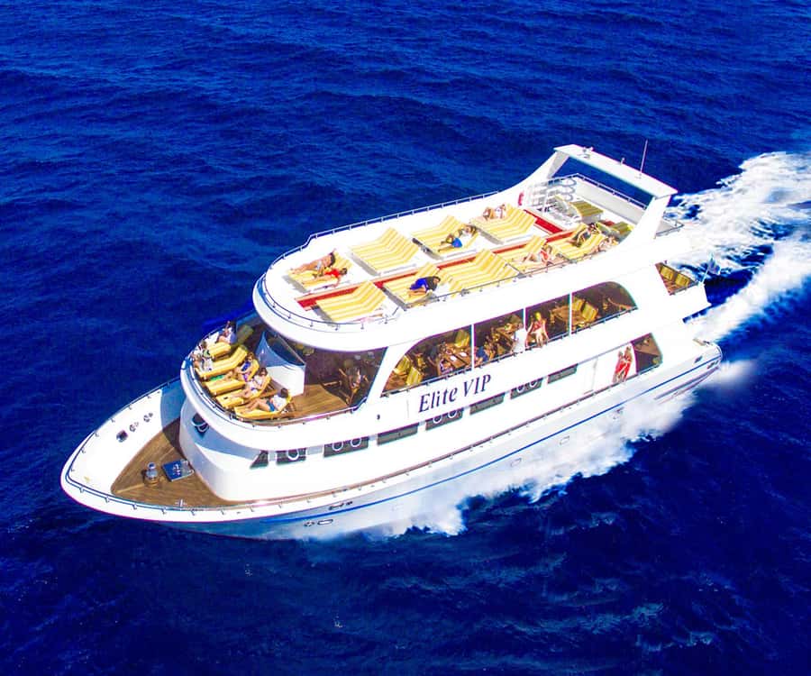 Sharm el-Sheikh: Ras Mohammed Elite VIP Cruise and BBQ Lunch - Key points before you book
