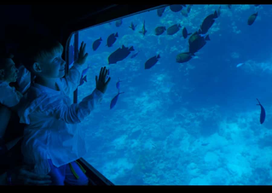 Sharm El-Sheikh: Royal Seascope Submarine Cruise with Pickup - Key points to know before booking