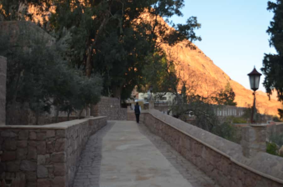 Sharm El Sheikh: Saint Catherine's Monastery Private Tour - Who should choose this private tour?