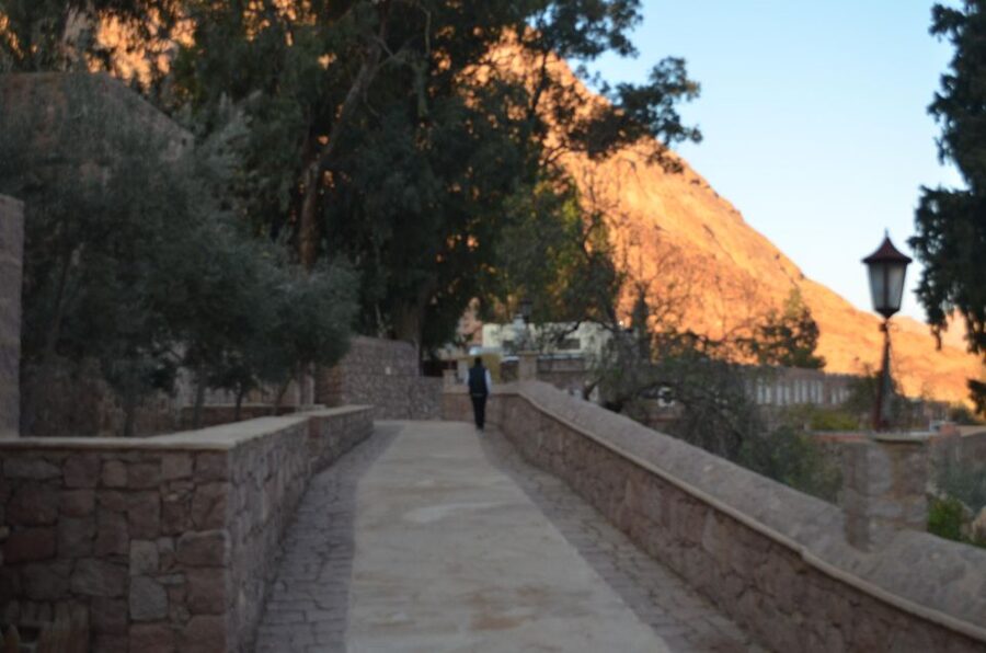 Sharm El Sheikh: Saint Catherine's Monastery Private Tour - The library and its ancient manuscripts