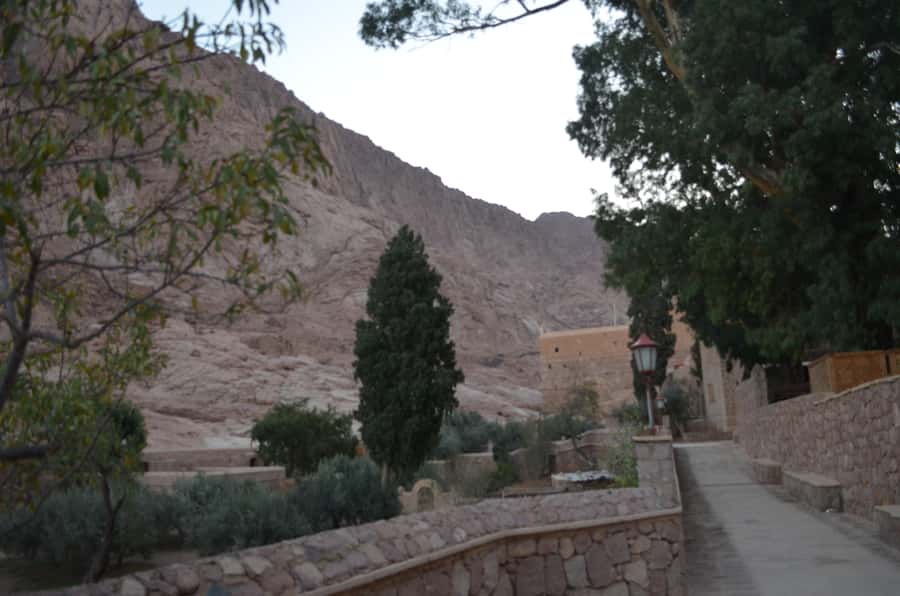Sharm El Sheikh: Saint Catherine's Monastery Private Tour - The private drive from Sharm El Sheikh