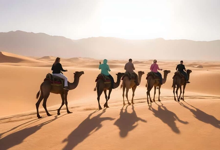 Sharm El-Sheikh: Ultimate ATV Quad, Stargazing & BBQ Dinner - Stargazing under a switched-off camp