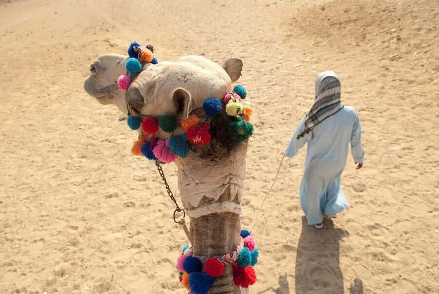 Sharm El-Sheikh: Ultimate ATV Quad, Stargazing & BBQ Dinner - Who should book this desert day?