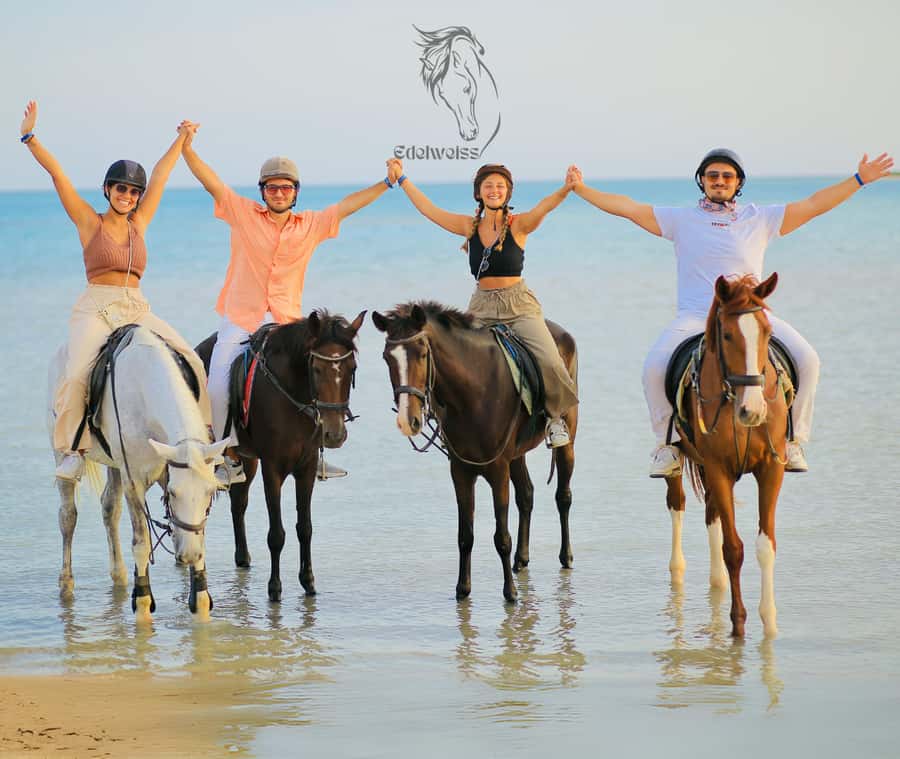 Sharm El Shiekh: Beach and City Desert Horse Riding Tour - Key points to know before booking