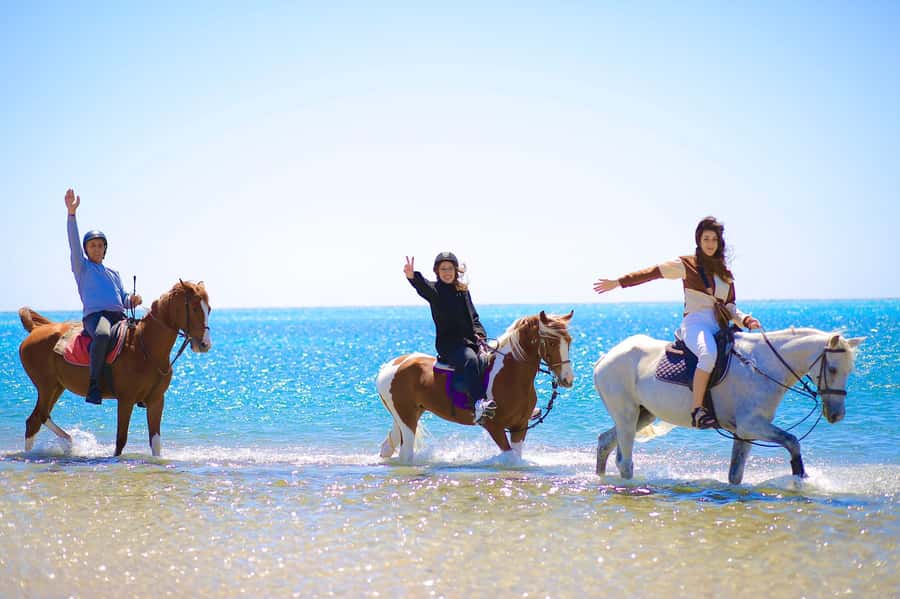 Sharm El Shiekh: Beach and City Desert Horse Riding Tour - Riding from the stable to Sharm El Sheikh’s open desert