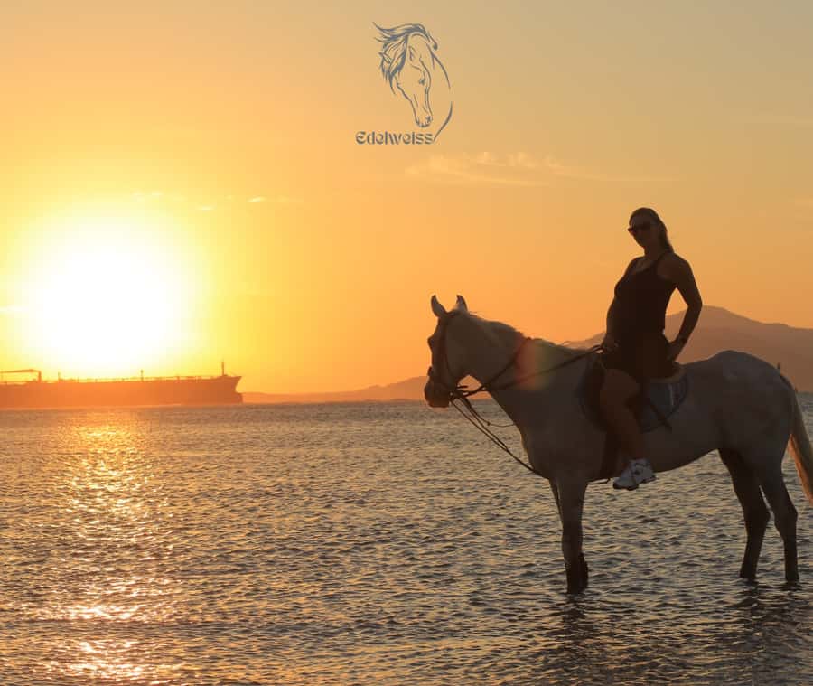 Sharm El Shiekh: Beach and City Desert Horse Riding Tour - Reaching the Red Sea beach on horseback