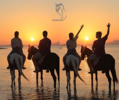 Sharm El Shiekh: Beach and City Desert Horse Riding Tour