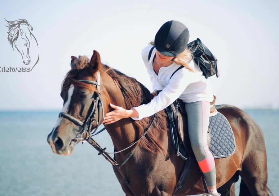 Sharm El Shiekh: Beach and City Desert Horse Riding Tour - Who will enjoy this ride most?
