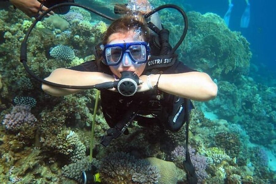 Sharm: Introductory Dive from the Shore & PADI Courses - Starting at Fanar Beach in Hadaba