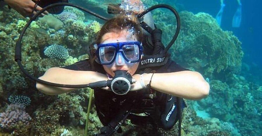 Sharm: Introductory Dive from the Shore & PADI Courses - The people guiding you underwater