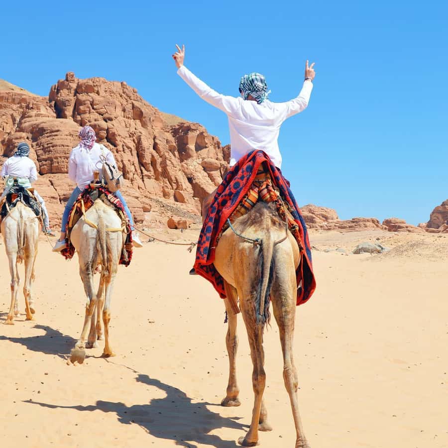 Sharm: Water Sports Adventure Day with Hotel Transfer - One day, four different kinds of fun