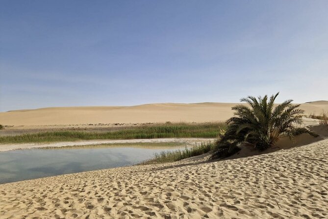Siwa Oasis All Inclusive Tour From Cairo - Salt lakes: a strange and soothing first stop