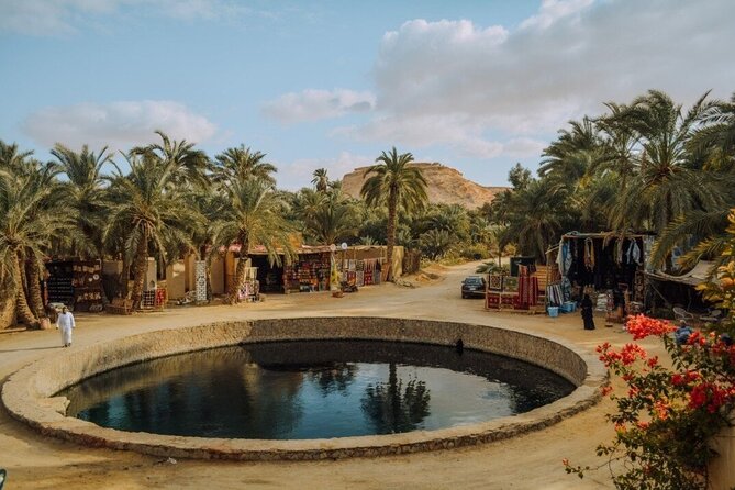 Siwa Oasis private all inclusive from cairo and GIZA - Shali Fortress and the old center of Siwa