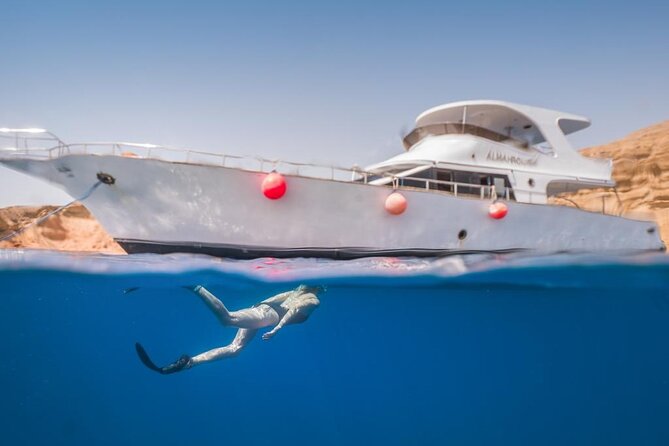 Snorkeling Day Trip to White Island and Ras Mohamed from Sharm - Who should book this Red Sea day?