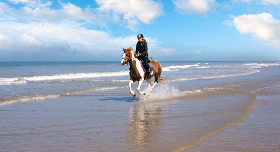 Soma Bay: Horse Riding Beach and Desert Tour With Transfer - Riding from desert sand to the Red Sea