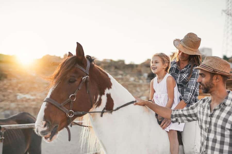Soma Bay: Horse Riding Beach and Desert Tour With Transfer - What the hotel transfer adds