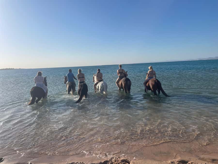 Soma Bay: Horse Riding Beach and Desert Tour With Transfer - What happens at the equestrian center