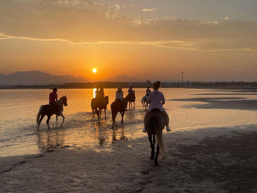 Soma Bay: Horse Riding Beach and Desert Tour With Transfer - The beach section is the visual highlight