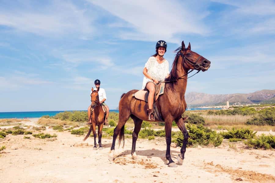 Soma Bay: Horse Riding Beach and Desert Tour With Transfer - How the experience feels for different types of riders