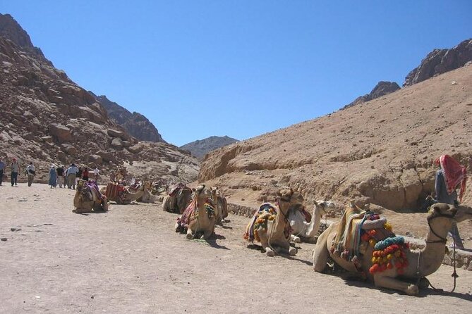 St Catherine Monastery and Mt Sinai Sunrise Tour from Dahab - The night transfer from Dahab