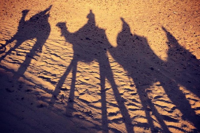 sunset at Giza pyramids by camels - What the Three-Hour Evening Looks Like