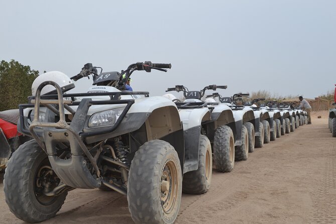 Super Safari ATV, Drive Buggy Car, Camel Ride, Bedouin Dinner, Show-Hurghada - Tea, desert remedies, and Bedouin life