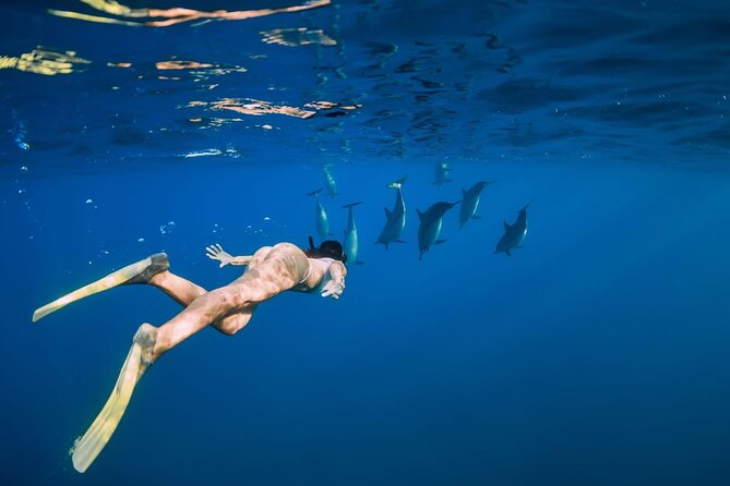 Swimming With Dolphin in Red Sea Adventure with Lunch - Hurgada - Lunch, coffee, and the banana ride