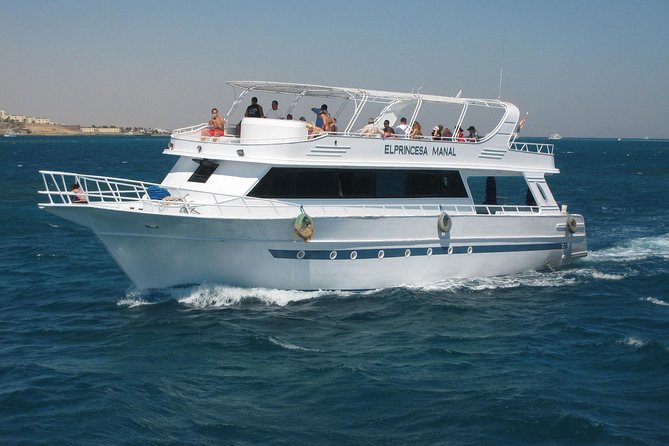 Swimming with Dolphin VIP Snorkeling Sea Trip With Lunch and Transfer - Hurghada - What to pack and how to prepare