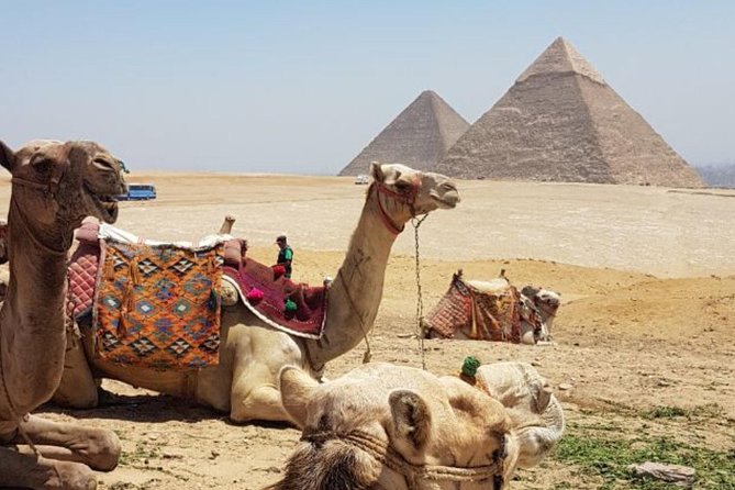 Tour to Giza pyramids Memphis Sakkara and Felucca on the Nile - What the $8 price really means
