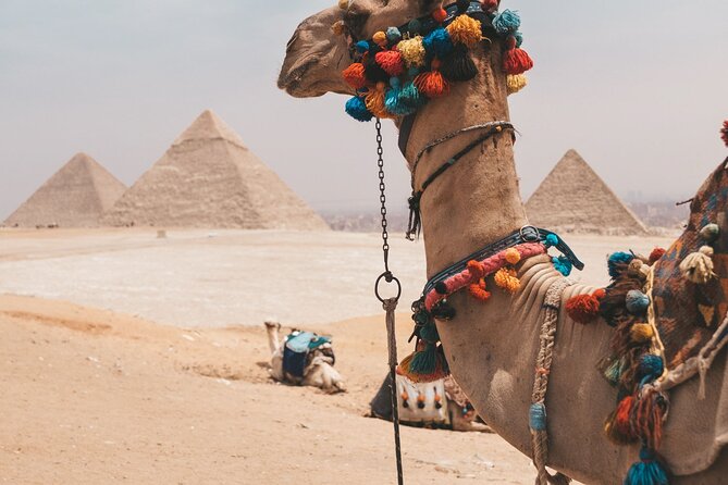 Trip To Cairo from Alexandria - The drive gives your guide time to set the scene