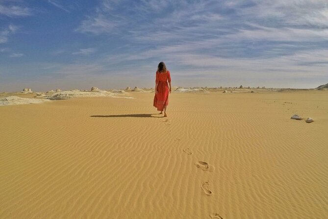 Two Days Tour To Bahariya Oasis And White Desert From Cairo - What the $313.59 price includes