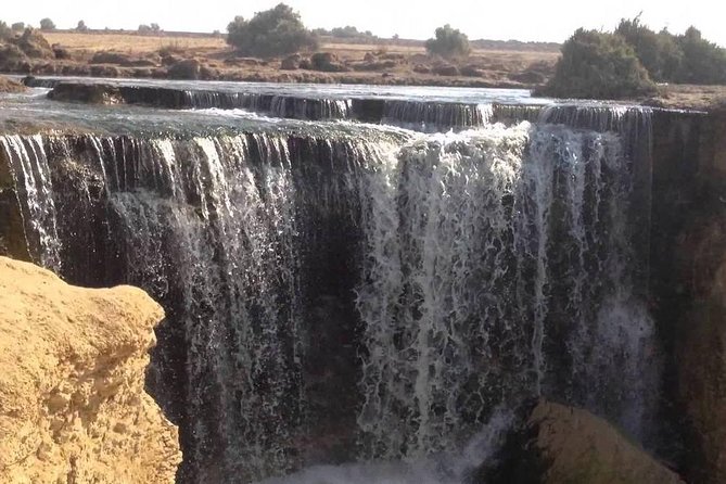 Valley of Whales and Wadi El Rayan Water Falls Day Tour from Cairo - What the Day Gets Right, and Where It Falls Short