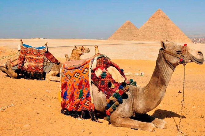 VIP All inclusive Best of Giza Pyramids, Sphinx, Sakkara, Memphis - What the guide adds to the day