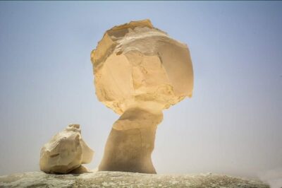 White & Black Desert tour 2 Days 1 night camping from Cairo.