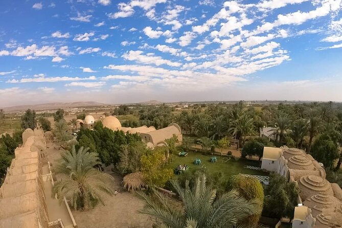 White Desert & Bahariya oasis 3 days 2 nights Tour from Cairo - Day three: breakfast, a warm spring, and the road back to Cairo