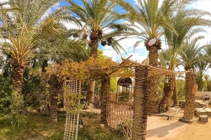 White Desert & Bahariya oasis 3 days 2 nights Tour from Cairo - Who should book this desert trip?