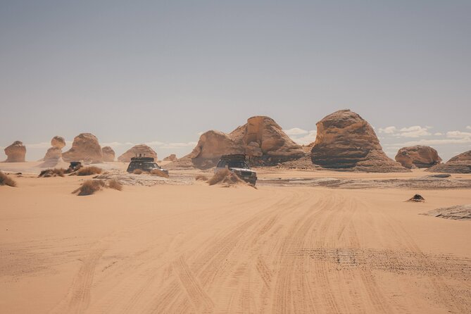 White Desert Overnight Camping Sharing Tour in Egypt - Fossils and pale rock at Agabat Valley